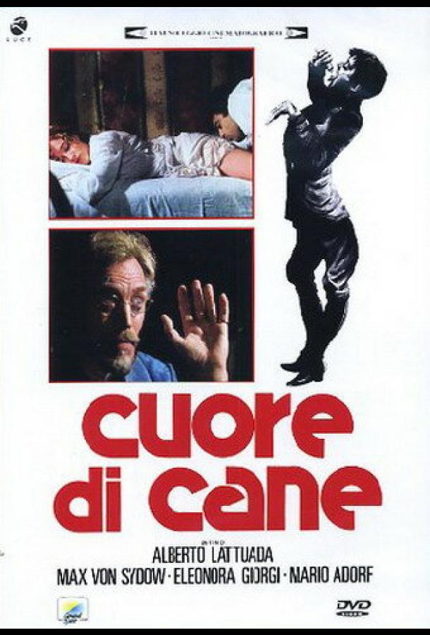 Собачье сердце (1975)