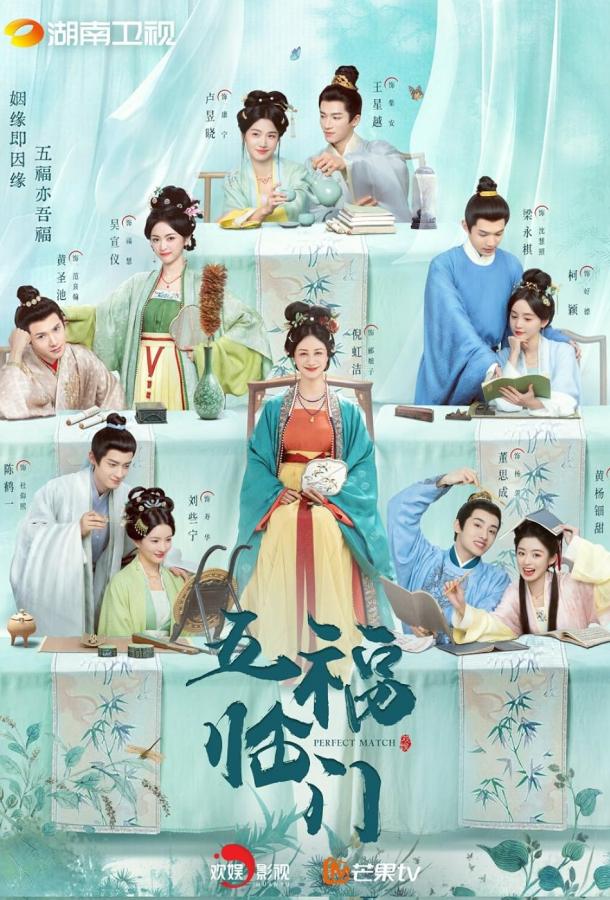 Идеальное сочетание / Идеальная пара (2025)