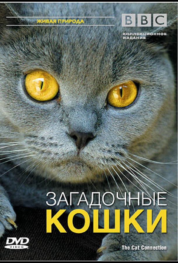 BBC: Загадочные кошки (2002)