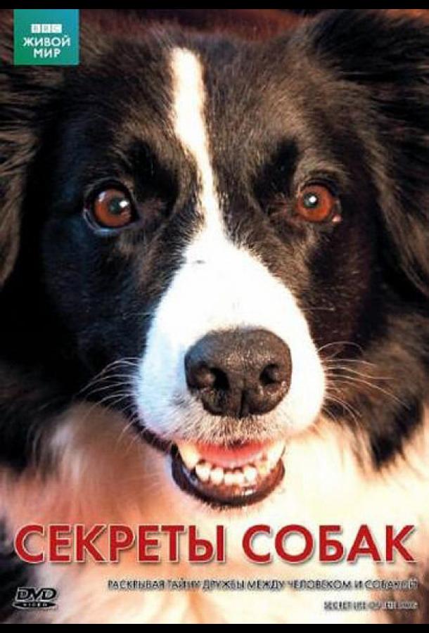 Тайная жизнь собак (2017)