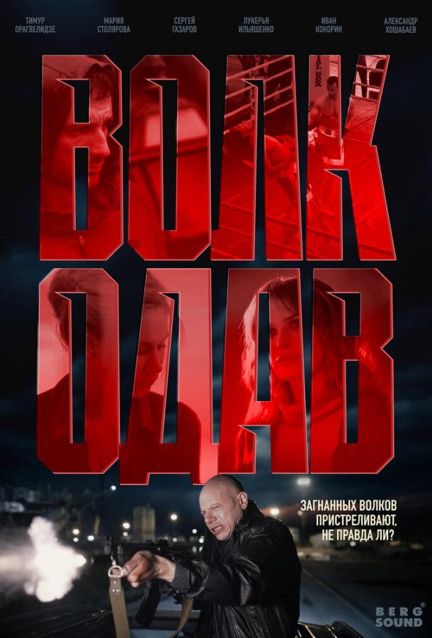 Волкодав (2025)