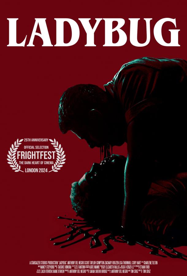 Божья коровка (2024)