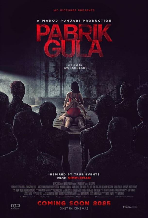 Сахарная фабрика (2025)