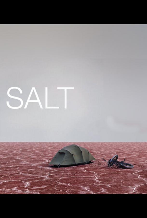 Соль (2009)
